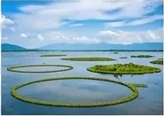 Manipur